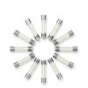 Upvivi Glass Fuse Assortment 5x20mm and 6x30mm-4